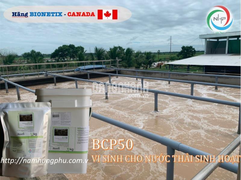 BCP50 men vi sinh xử lý nước thải tinh bột