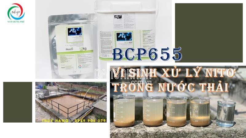 BCP655 men vi sinh xử lý amoni, nito, nitrate, nitrite trong nước thải (0949906079)