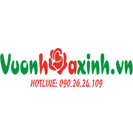 VƯỜN HOA XINH