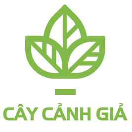 CÂY CẢNH GIẢ