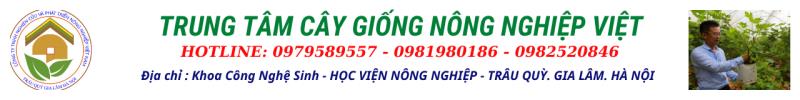 TRUNG TÂM GIỐNG CÂY TRỒNG NÔNG NGHIỆP VIỆT
