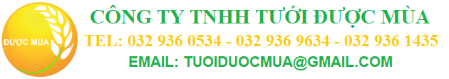 CÔNG TY TNHH TƯỚI ĐƯỢC MÙA