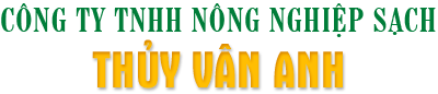 CÔNG TY TNHH NÔNG NGHIỆP SẠCH THUỶ VÂN ANH