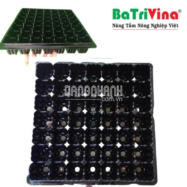 Vỉ Ươm 49 Lỗ Chuyên Dụng