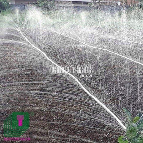 100m Ống tưới phun mưa Ø42 đục 5 lỗ xéo/ 3 lỗ ngang (Có dập biên)