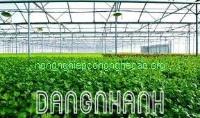 Béc Phun Chống Tắt - Anti- Insect Microsprinkler