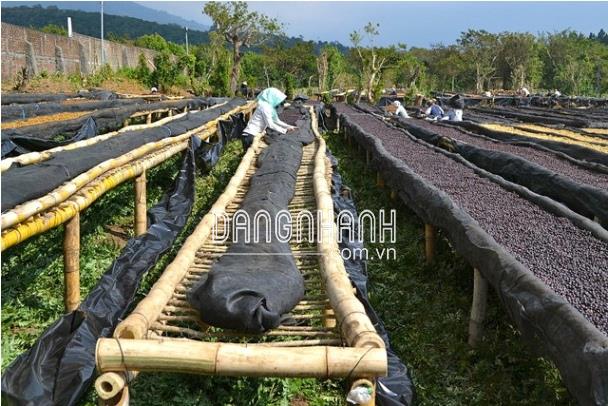 LƯỚI PHƠI NÔNG SẢN