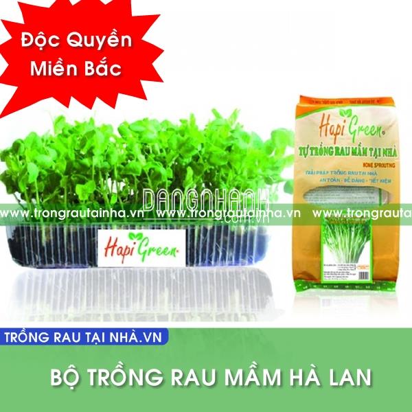 Bộ Trồng Rau Mầm Hà Lan