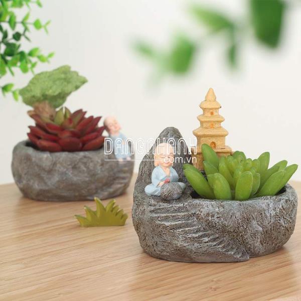Chậu cảnh thiền sư (R7A6N1-64)