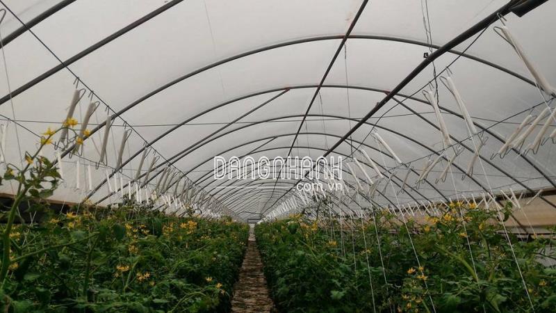 Móc thép trơn (Chưa quấn dây SE)