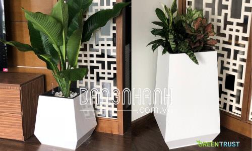 Chậu gỗ nhựa Composite vuông bầu đáy 8 mặt WPL-133