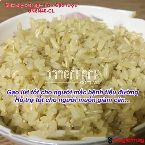 Máy xay xát gạo lứt – Gạo nấu rượu UN6N40-CL
