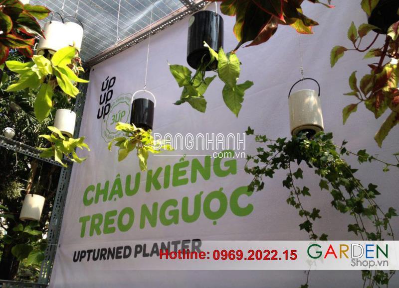 Chậu Treo Ngược 18cmx13cm ( Loại Lớn )