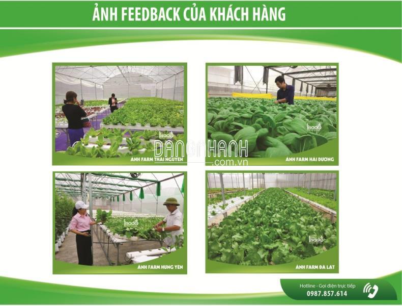 Phân bón thủy canh Grow Master dạng bột cho rau ăn lá