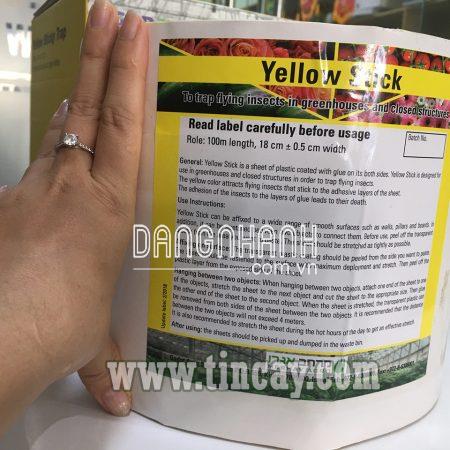  Bẫy Dính Côn Trùng Ứng Dụng Nông Nghiệp Sạch Israel