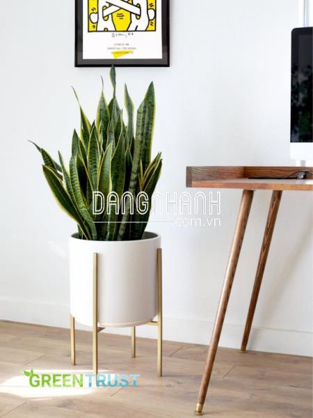 Chậu Composite Tròn Thẳng Đáy CPL 010