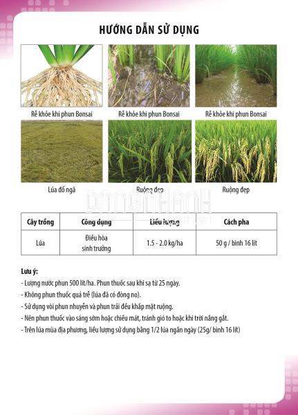 Điều khiển cây ra hoa, làm trái nghịch vụ