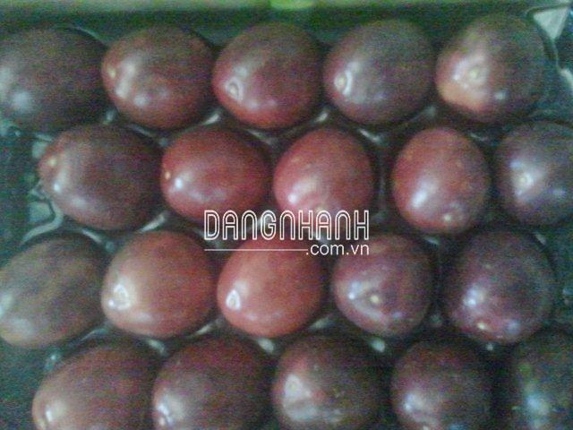KHAY NHƯA ĐÓNG TRÁI CÂY  