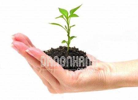  ZAP - Phân bón cho đất. ZAP - .