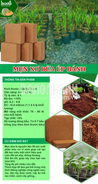 Mụn xơ dừa ép bánh Best Grow 300x300x150 mm đã qua xử lý, tiêu chuẩn xuất khẩu