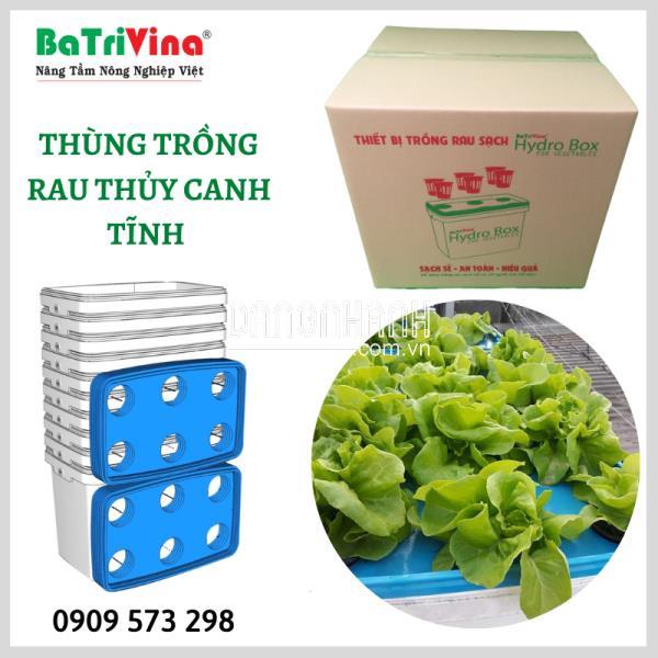 hủy Canh Tĩnh RAU ĂN LÁ Chuyên Dụng