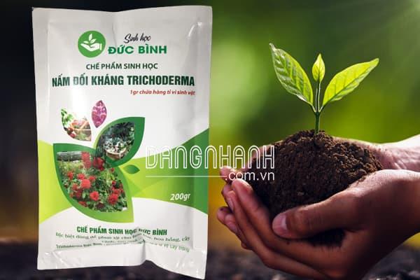 Nấm đối kháng trichoderma Đức Bình