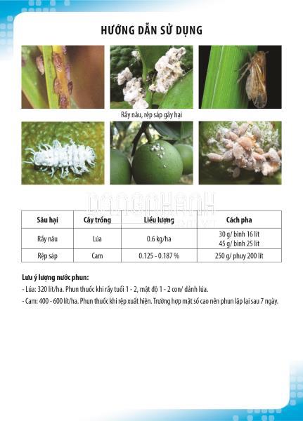 Phòng trừ rầy nâu, rầy phấn, rầy xanh hại lúa