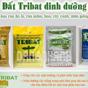 Đất sạch giàu dinh dưỡng