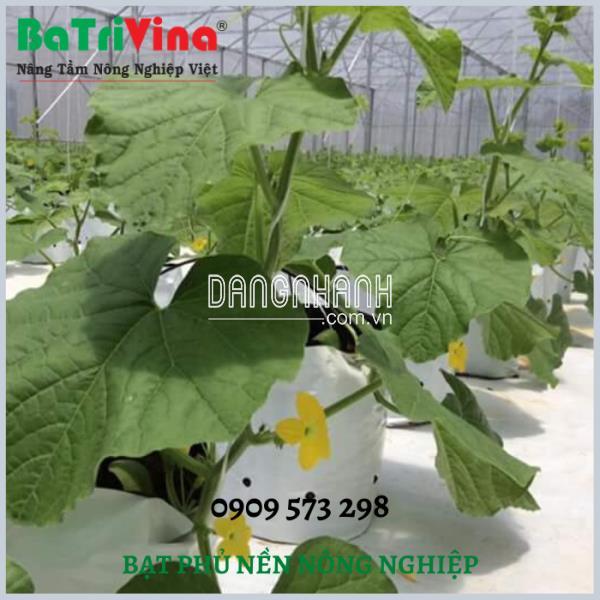 Bạt phủ Nông nghiệp