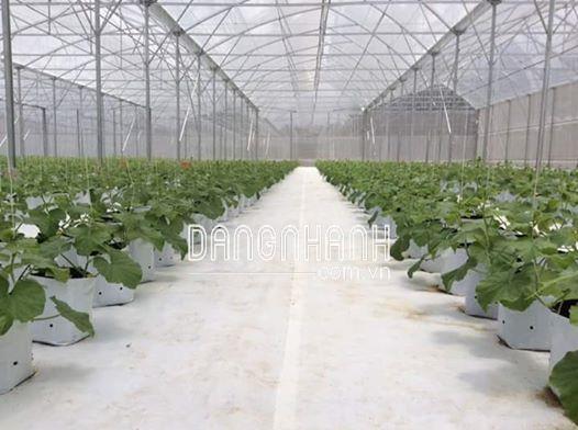 Bạt phủ Nông nghiệp