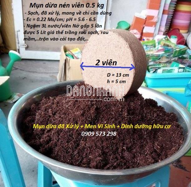  MỤN DỪA TRỒNG CÂY