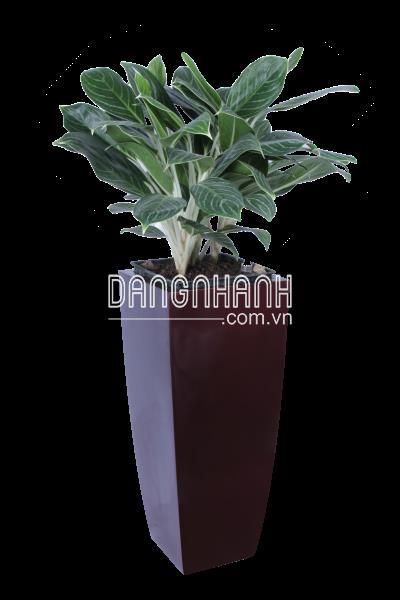 Chậu Composite vuông vát đáy cong CPL-161