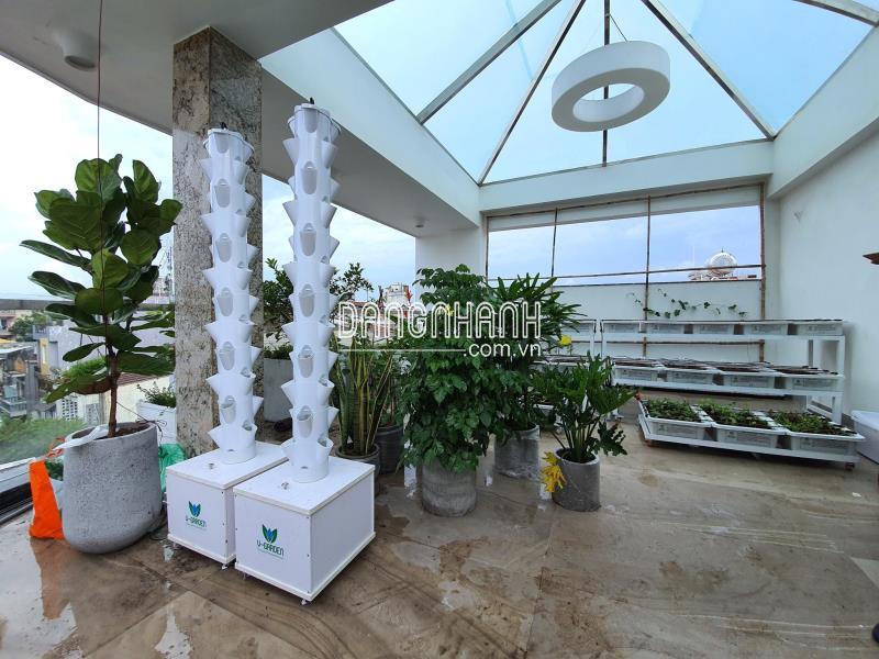 Chậu Trồng Cây Thủy Canh Trụ Đứng