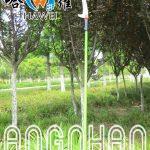 Dụng cụ cưa cành trên cao Đài Loan