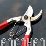 Kéo cắt tỉa cành cây Wangershan xuất xứ Đài Loan