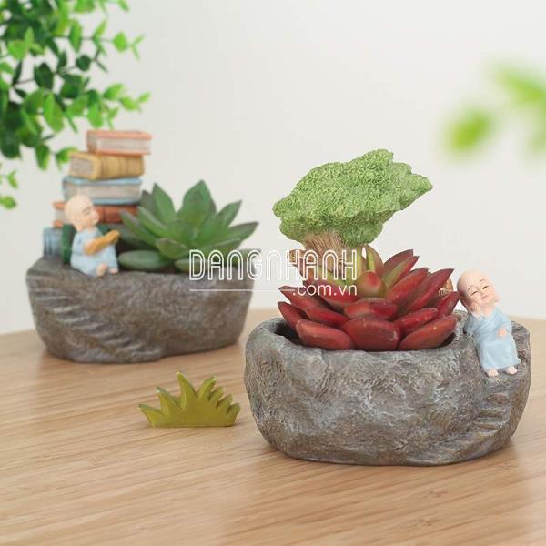 Chậu cảnh thiền sư (R7A6N1-64)
