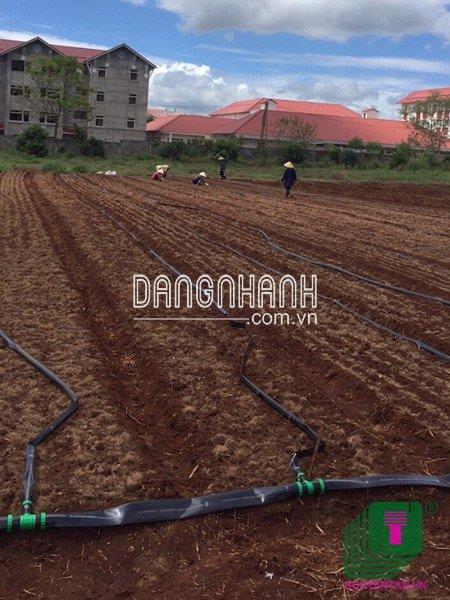 Tê giảm nối Ống mềm