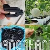 MÓC TREO TRÁI DƯA LƯỚI