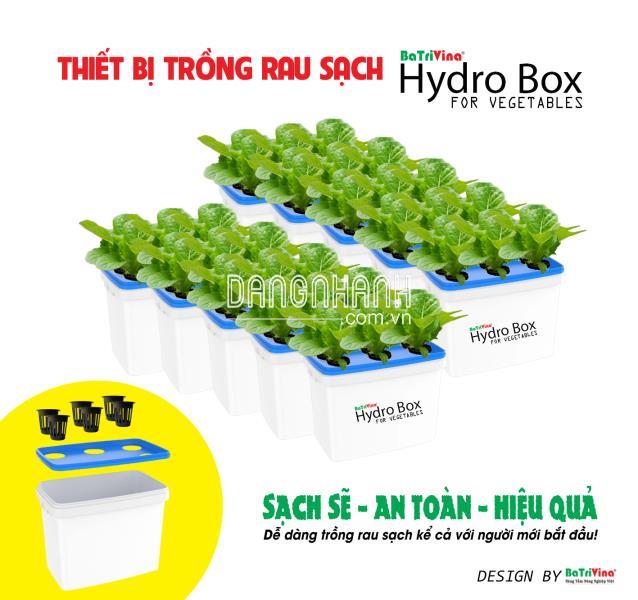 hủy Canh Tĩnh RAU ĂN LÁ Chuyên Dụng