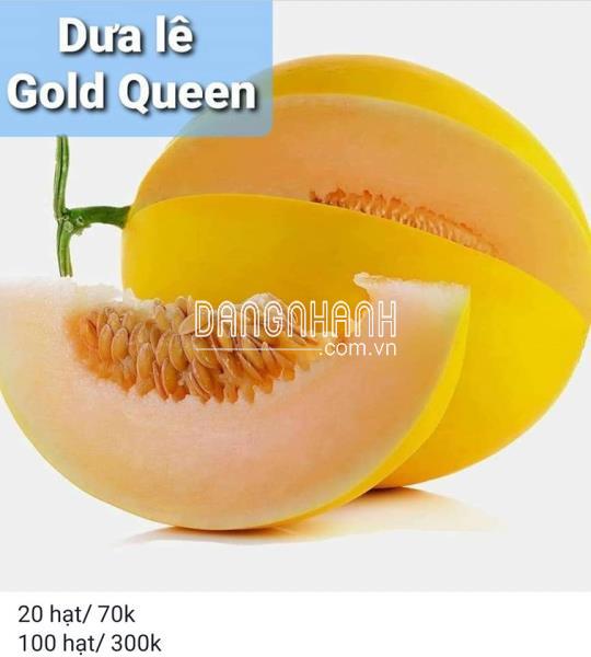 Dưa lê Gold Queen chuẩn Mỹ - Combo 10 hạt