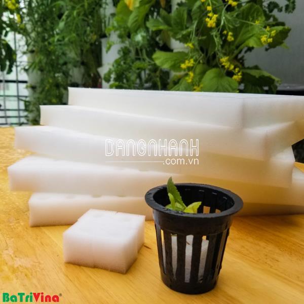Mút xốp ươm hạt 96 lỗ