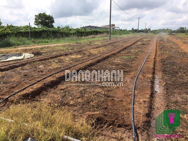 200m Ống tưới phun mưa dưới màng phủ Ø27