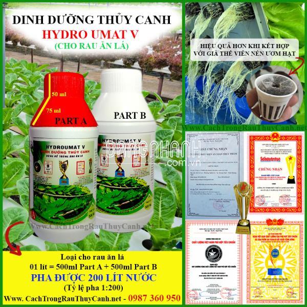 hủy Canh Tĩnh RAU ĂN LÁ Chuyên Dụng