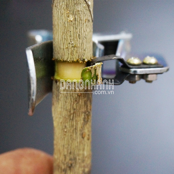 HM277-DKV - Dụng cụ khoanh vỏ chuyên dụng
