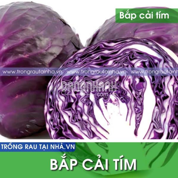 Rau Bắp Cải Tím