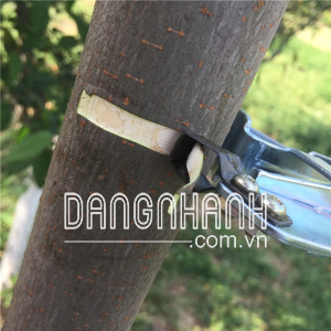 HM277-DKV - Dụng cụ khoanh vỏ chuyên dụng