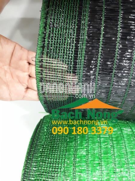 Lưới che nắng cho vườn cam