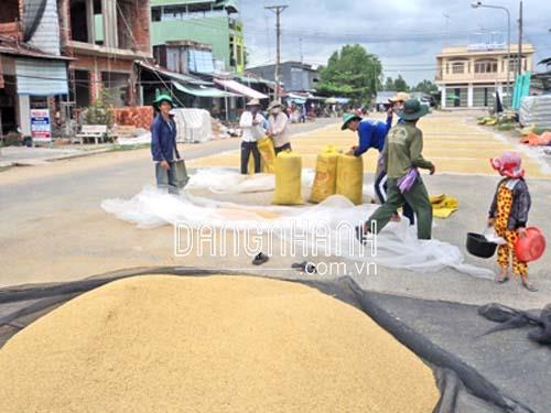 LƯỚI PHƠI NÔNG SẢN