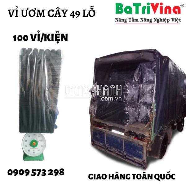 Vỉ Ươm 49 Lỗ Chuyên Dụng