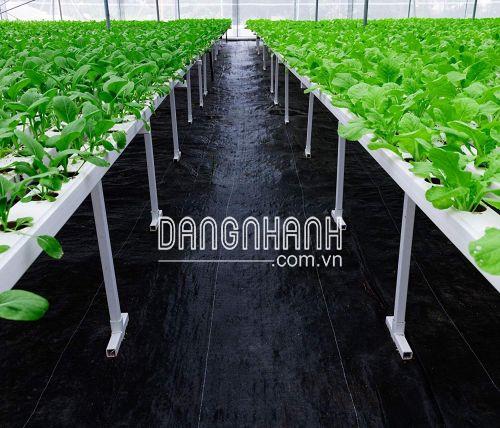 Bạt Phủ Đất Chống Cỏ     
